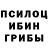 Псилоцибиновые грибы мухоморы Adsss Yusudaliev