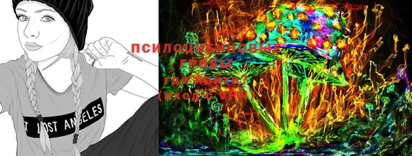 таблы Инта