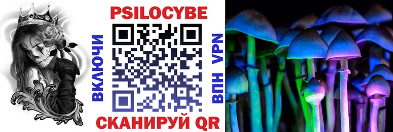 Купить закладки  Дорогобуж  Псилоцибиновые грибы MAGIC MUSHROOMS 